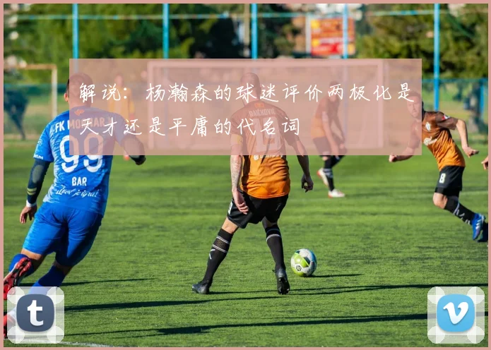 解说：杨瀚森的球迷评价两极化是天才还是平庸的代名词